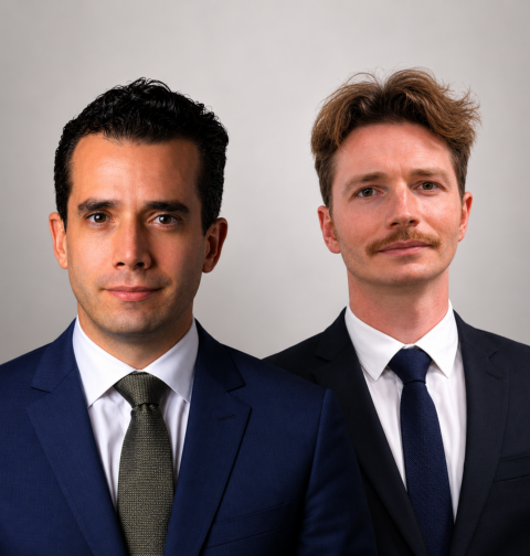 OECD-Guillaume Dedet-David Kelly